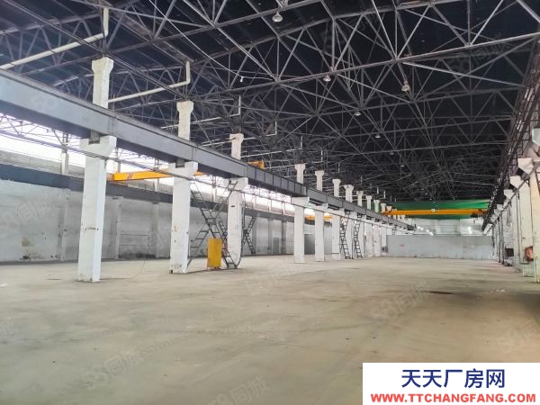 南京市棲霞新港12000平獨門獨院。全單層鋼架結構有航車