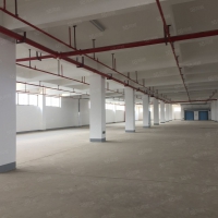 南寧市西鄉(xiāng)塘區(qū)(出租) 650平標(biāo)準(zhǔn)廠房，安吉大道旁交通方便，靠近高速口周邊物流園