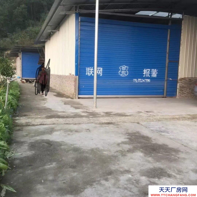 重慶涪陵倉庫低價出租（仙鵝路）