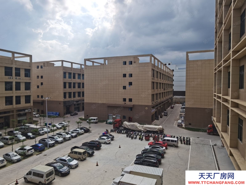 南寧市西鄉塘區(出租) 標準廠房租售同步，層高56米，面積300起，行業不限！