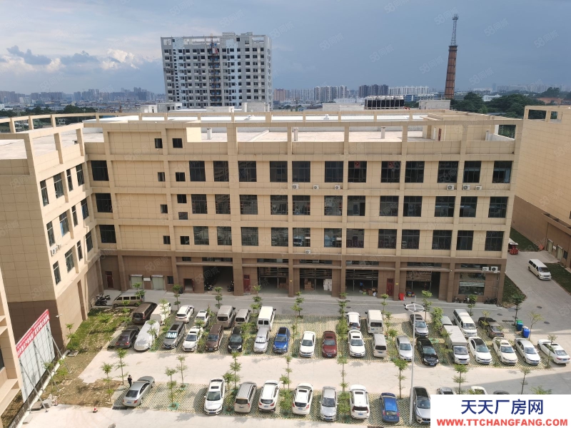 南寧市西鄉塘區(出租) 標準廠房租售同步，層高56米，面積300起，行業不限！