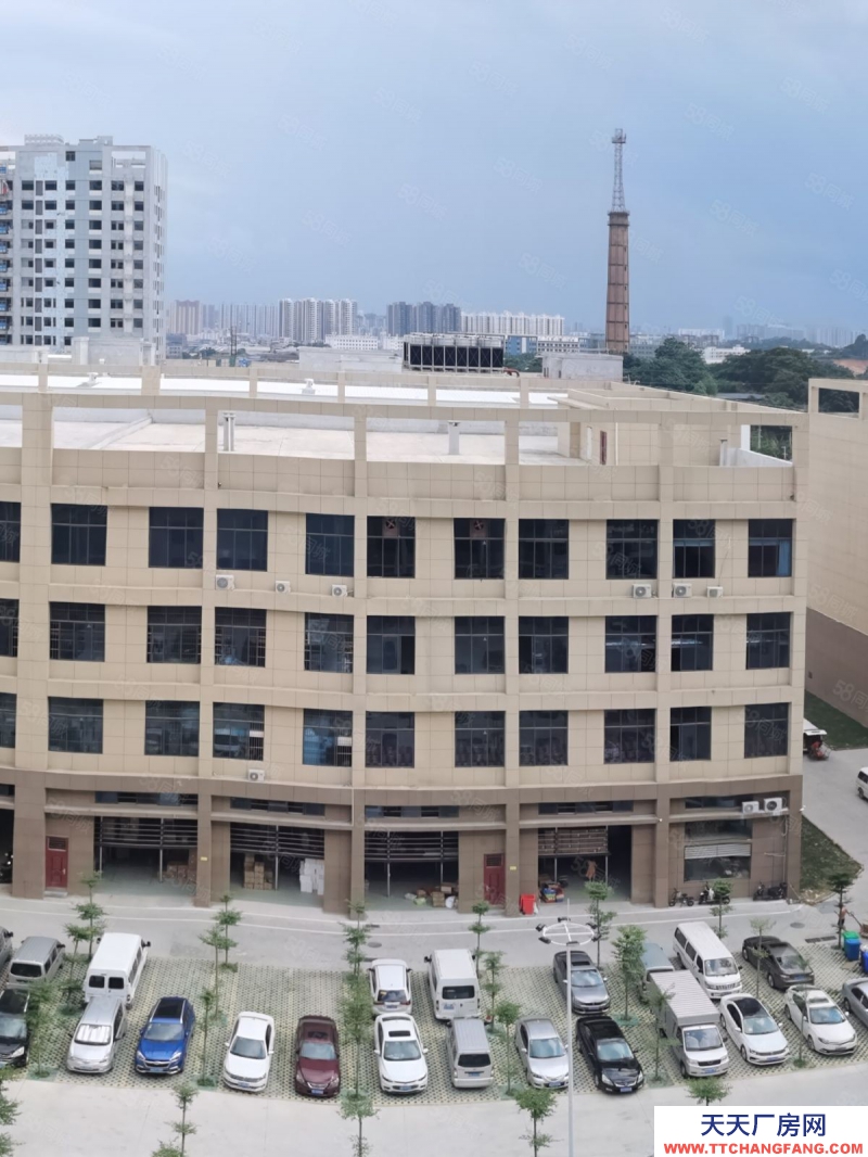 南寧市西鄉塘區(出租) 標準廠房租售同步，層高56米，面積300起，行業不限！