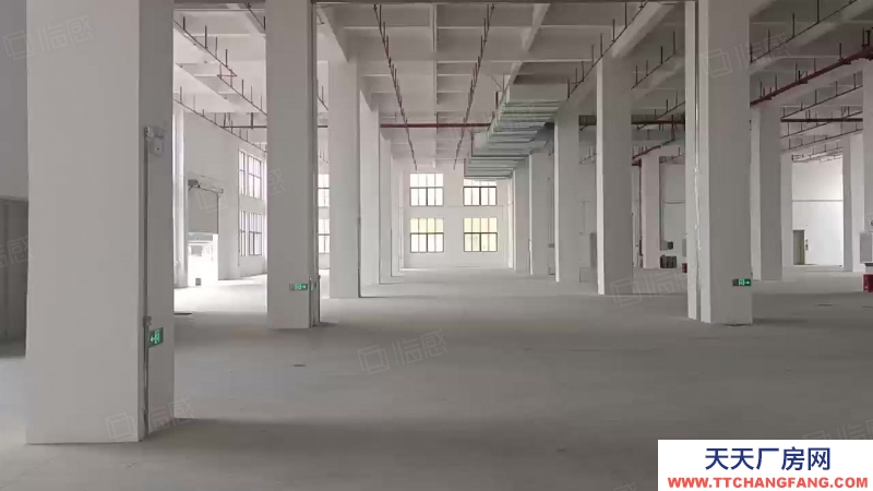 (出租) 廣州新塘大型園區廠房。丙二類消防！可整租。可分租。證件齊全。