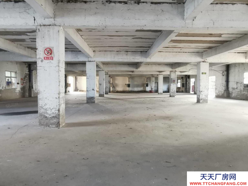 重慶涪陵順江大道養(yǎng)生鴿對面?zhèn)}庫出租