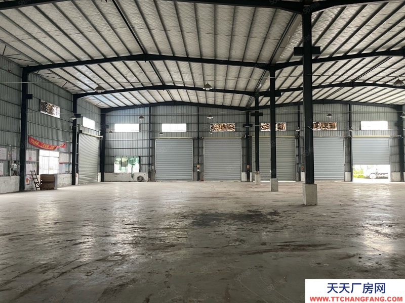 (出租) 新塘新出新建10米單一層獨門獨院地勢高空地大可分租