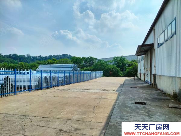 南京市棲霞新港大道400平單層。適合大車(chē)進(jìn)出,固話地坪。