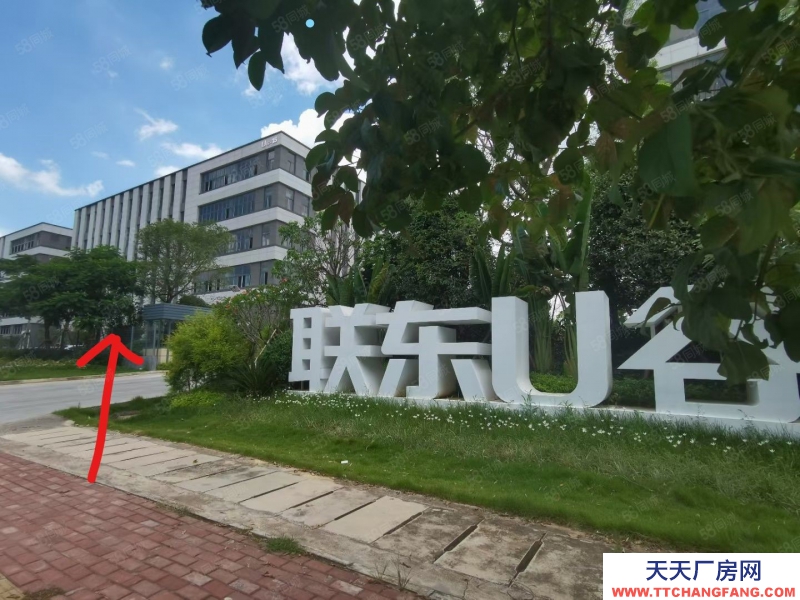 南寧市西鄉塘區(出租) 低至18元現房直租高新300平可分租面積靈活租約方便停車