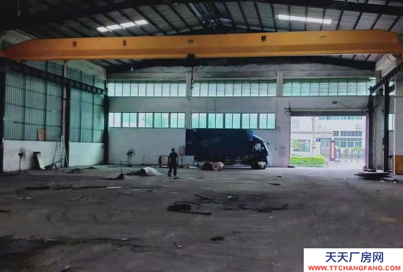 (出租) 出租增城新塘太平洋工業區新出獨棟帶航車鋼構倉庫廠房