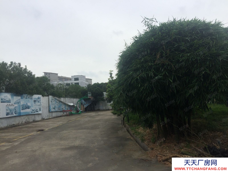 (出租) 花園式獨門獨院高標準單一層帶高臺倉庫廠房低價出租