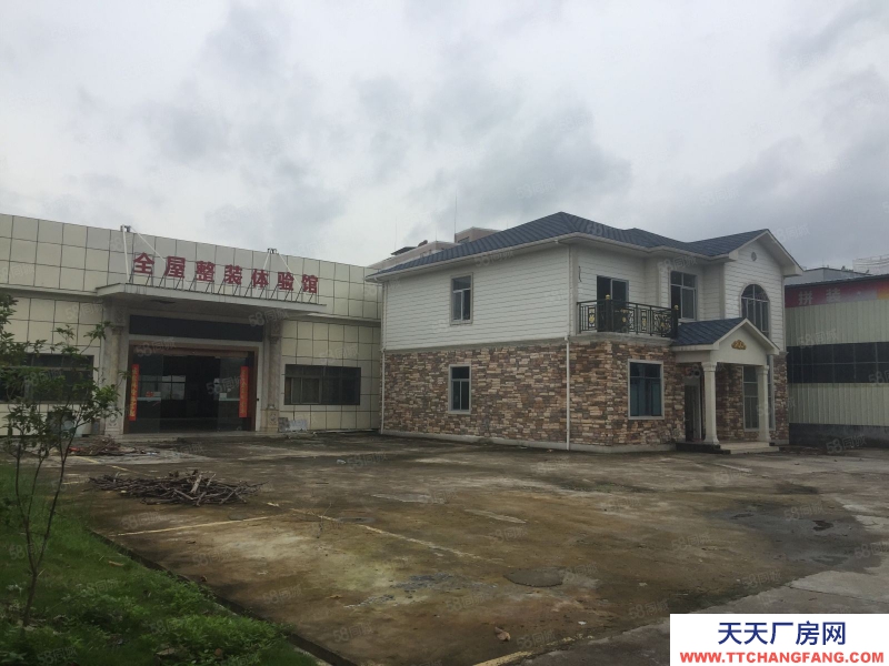 (出租) 贈！免租期長，新塘荔新大道旁獨院單一層廠房倉庫出租可分租