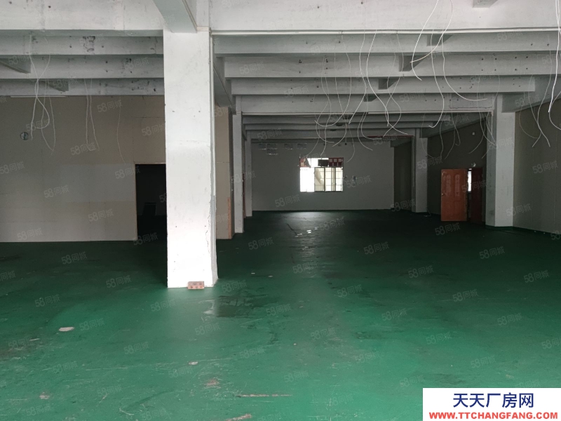 (出租) 新塘牛仔城電商倉庫!現成水電裝修