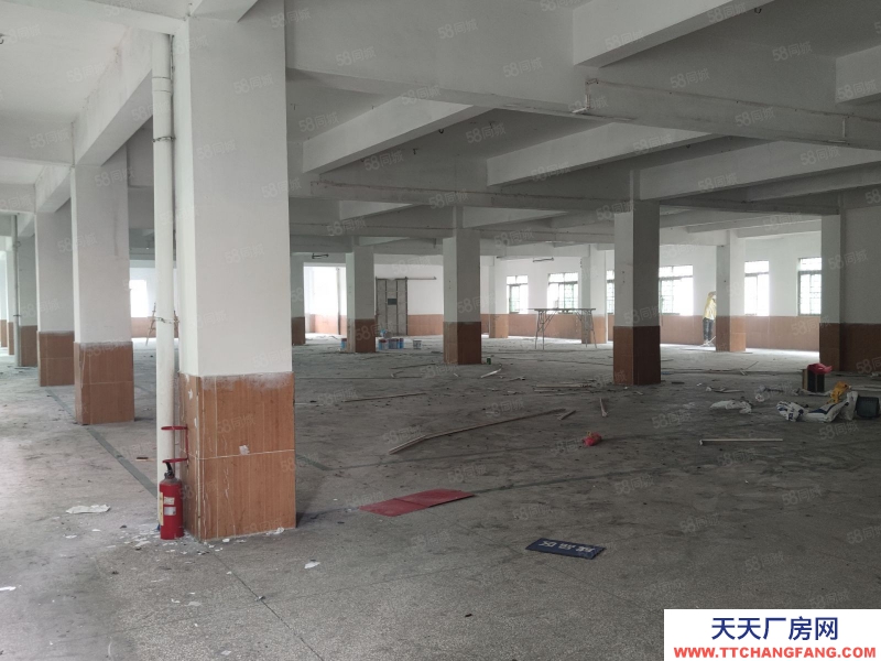 (出租) 新塘牛仔城電商倉庫！現成水電裝修