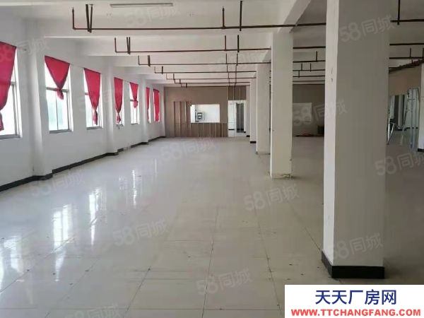 南京市棲霞恒競(jìng)路獨(dú)棟廠房 兩證齊全 層高4.5米 適合電子 電商