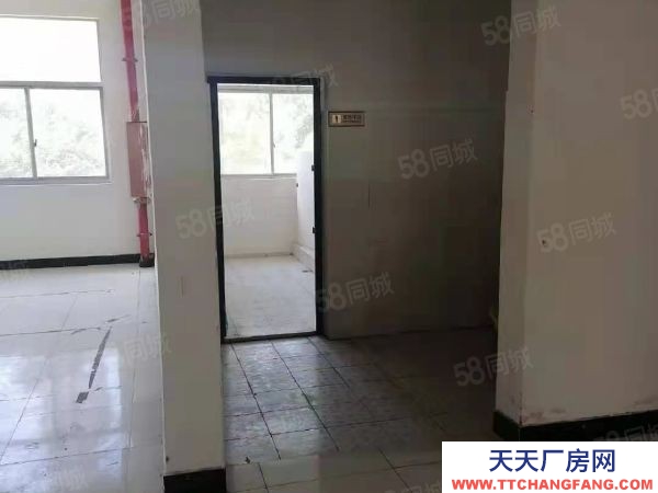 南京市棲霞恒競路獨棟廠房 兩證齊全 層高4.5米 適合電子 電商