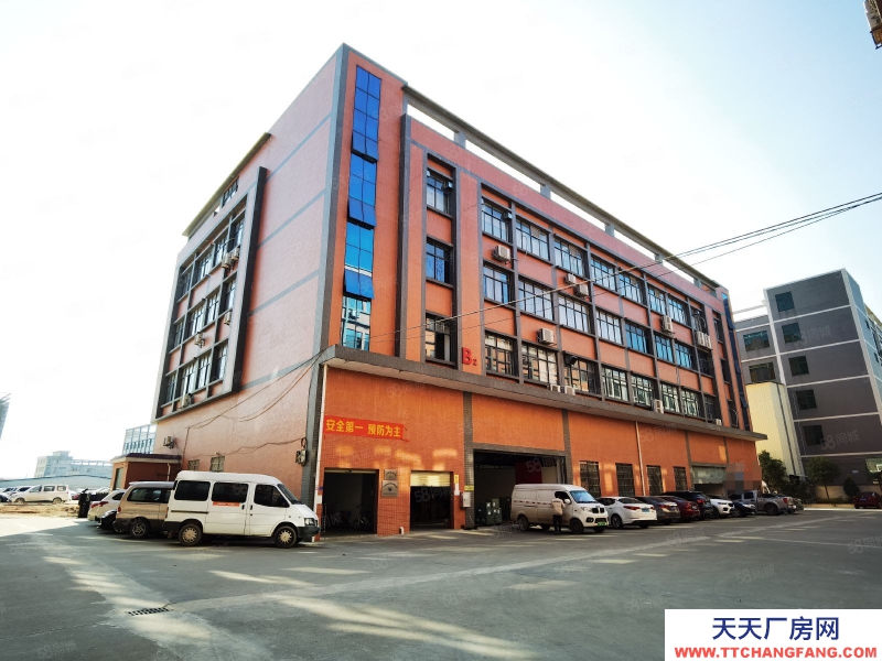 (出租) 增城區新塘鎮獨院標準廠房倉庫出租6000平方交通方便價格優惠