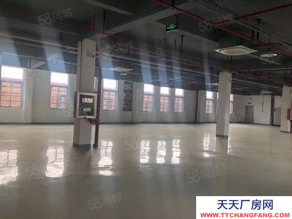 南京市 棲霞新港開發區獨棟廠房工業用地兩證齊全層高8米