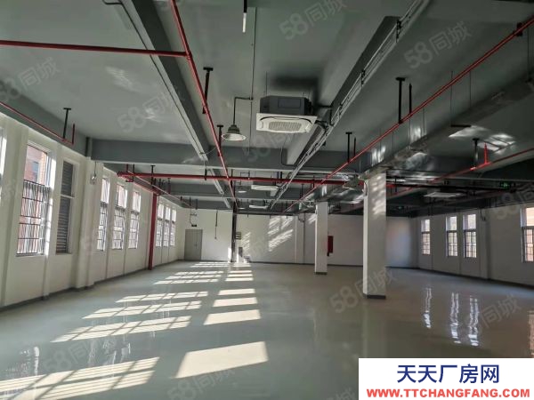 南京市棲霞區(qū)新港開發(fā)區(qū) 恒誼路1號廠房 一到三層 8米挑高 已隔兩層