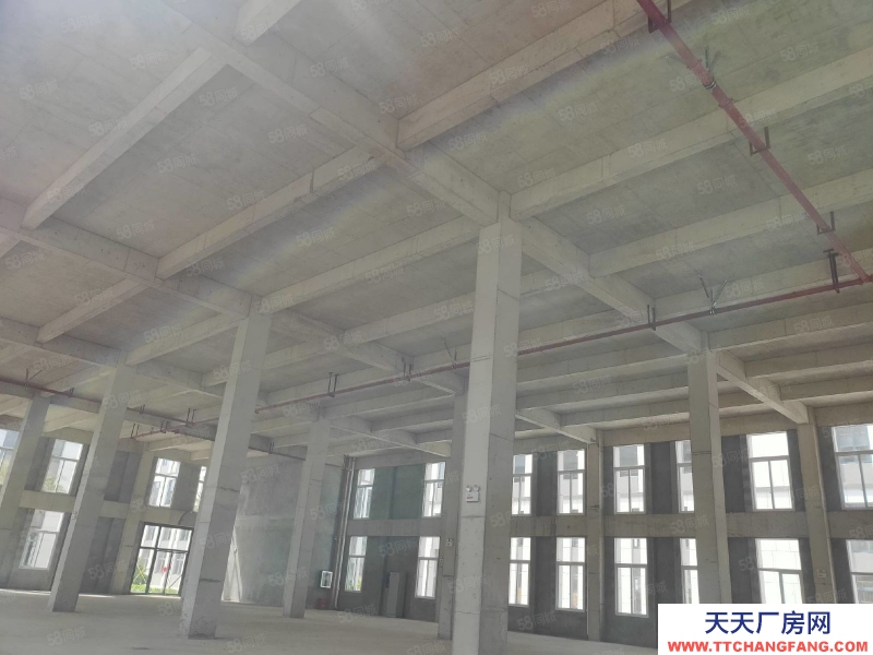 南寧市西鄉塘區(出租) 北湖園藝場，新出廠房出租，標準廠房，1300平起