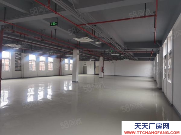 南京市棲霞區新港開發區獨立廠房出售 精裝修 中央空調