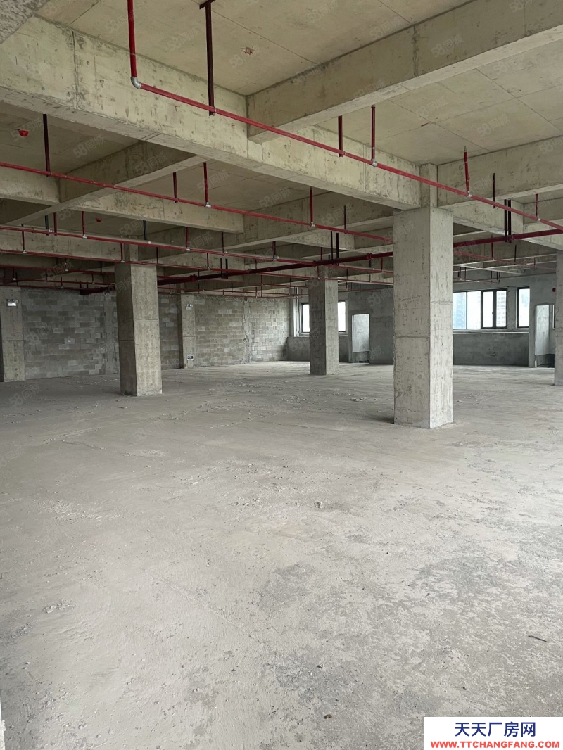 南寧市西鄉塘區(出租) 標準廠房，1000平可分租，可議價