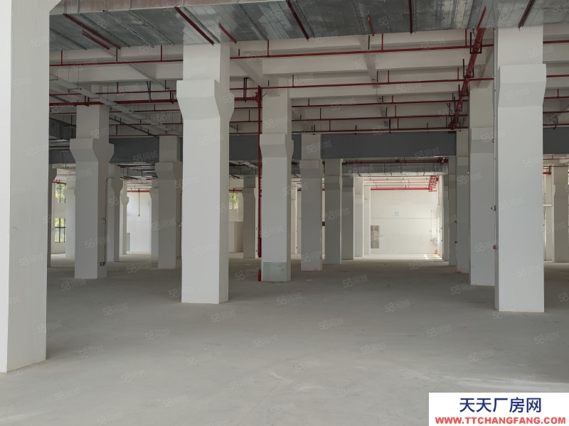 (出售) 1600元起售帶紅本廠房出售可按揭享受政府補貼政策