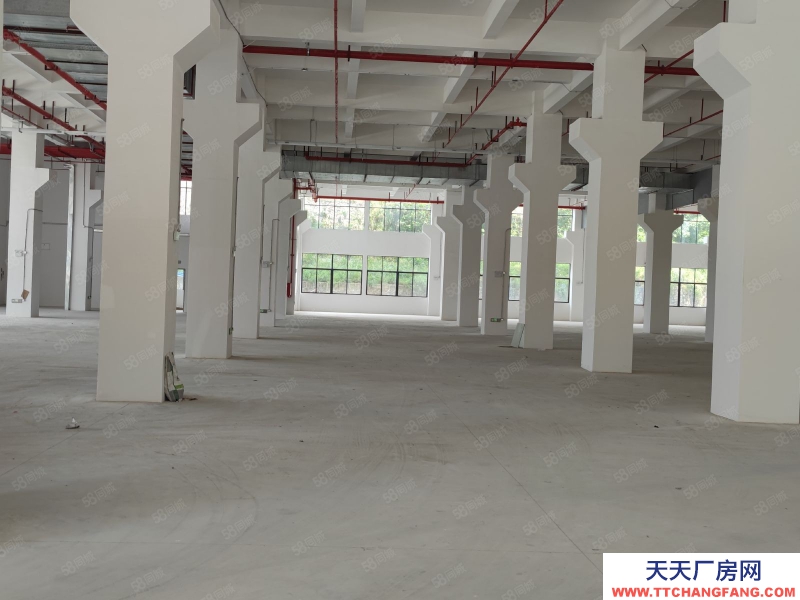 (出售) 1600元起售帶紅本廠房出售可按揭享受政府補貼政策