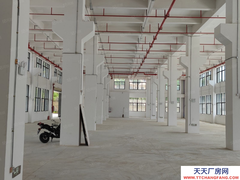 (出售) 1600元起售帶紅本廠房出售可按揭享受政府補貼政策