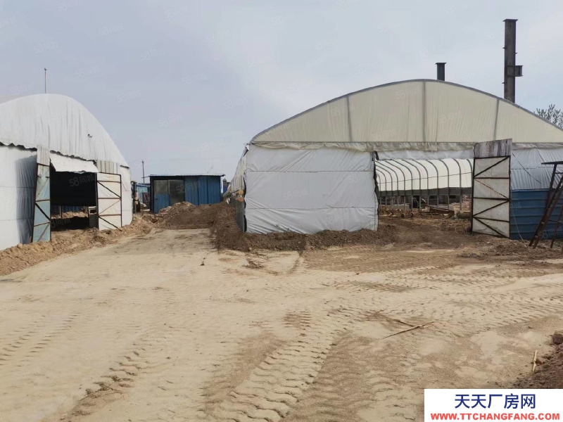 石家莊 欒城區(qū) 新趙線 南高鄉(xiāng) 1000平 廠房出租