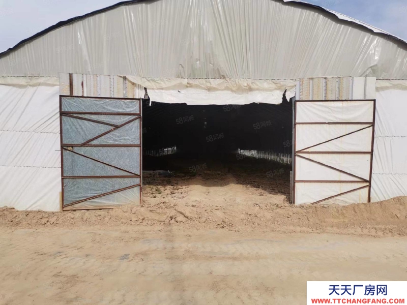 石家莊 欒城區(qū) 新趙線 南高鄉(xiāng) 1000平 廠房出租