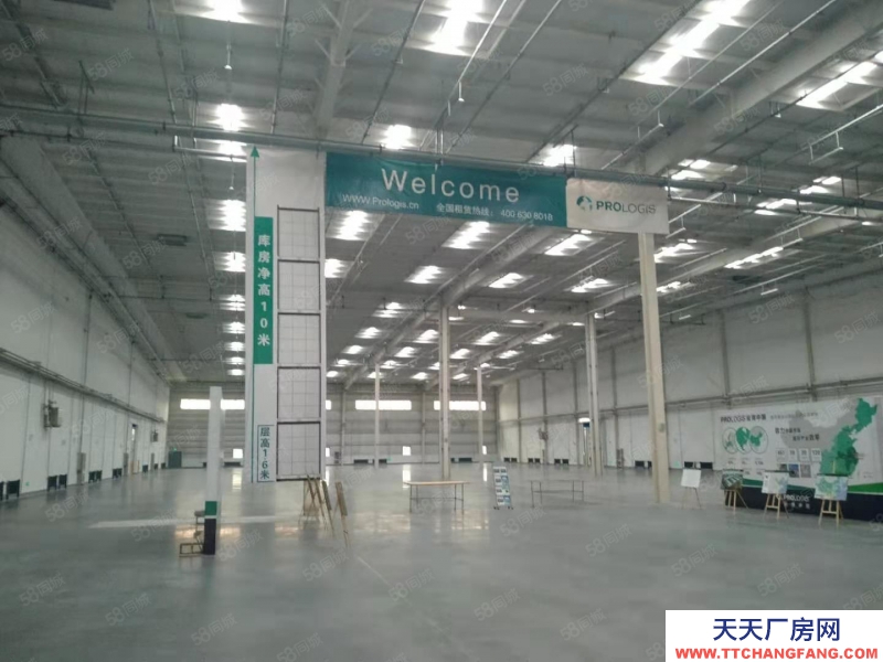 (出租) 出租 v于洪高標庫，1500平起租，交通便利