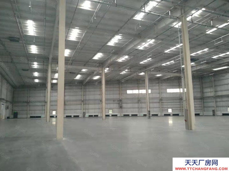 (出租) 出租 v于洪高標庫，1500平起租，交通便利