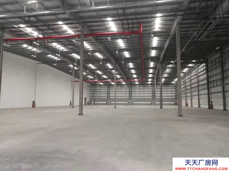 (出租) 出租 v于洪高標庫，1500平起租，交通便利