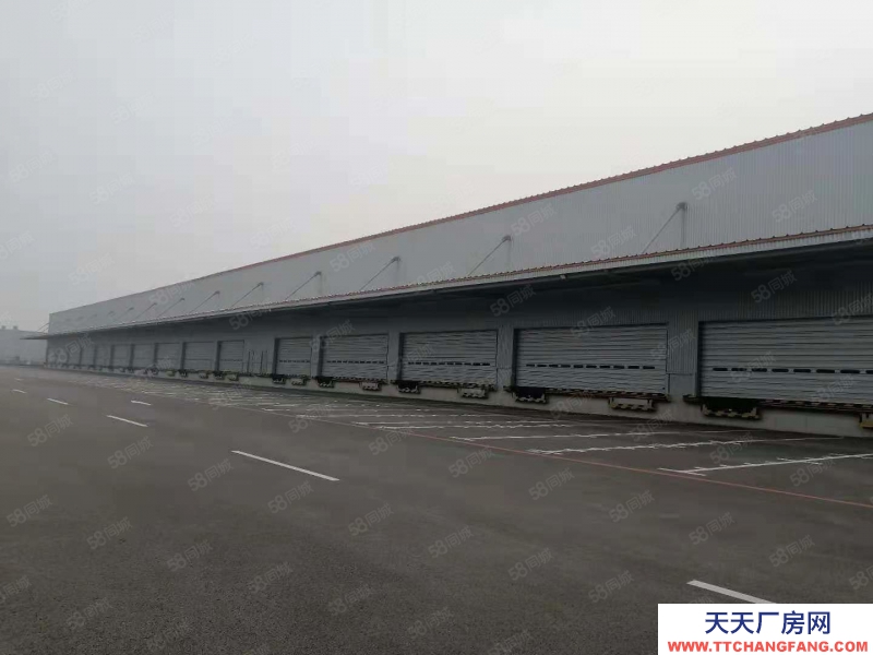 (出租) 出租 v于洪高標庫，1500平起租，交通便利