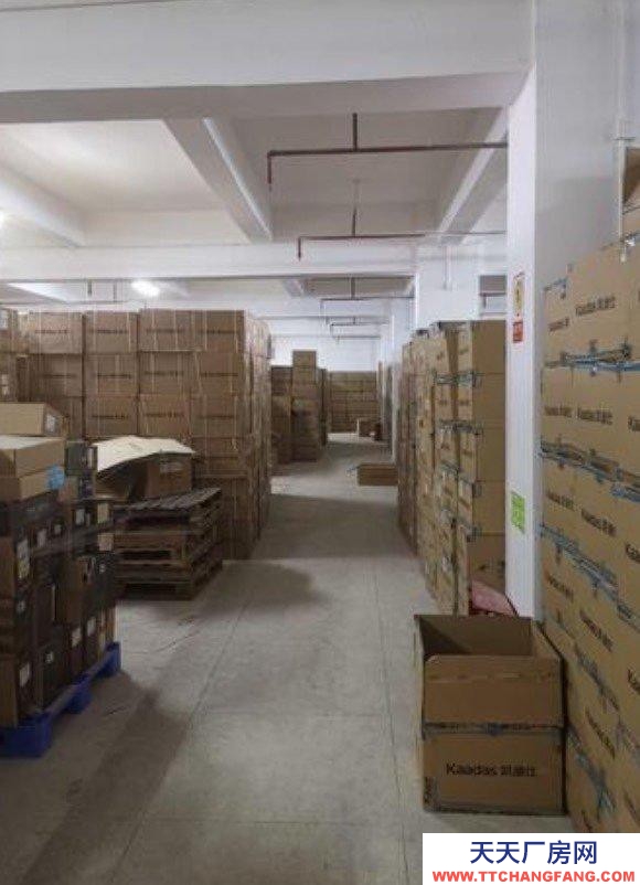 (出租) 福州臺江房東直租中亭街天華地庫可用于倉庫使用