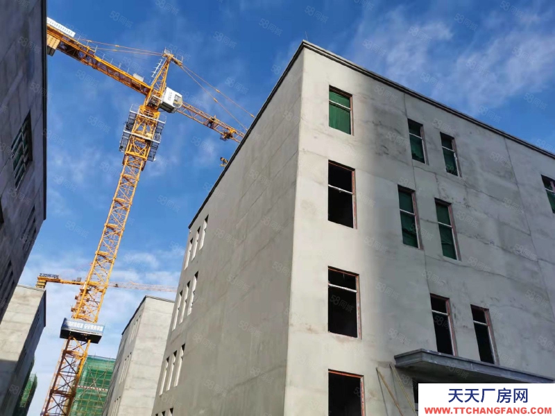 石家莊 欒城 南三環新晉品質研發生產廠房