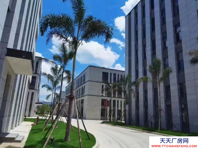 濟南天橋單層框架廠房!500平!手續齊全可辦證!