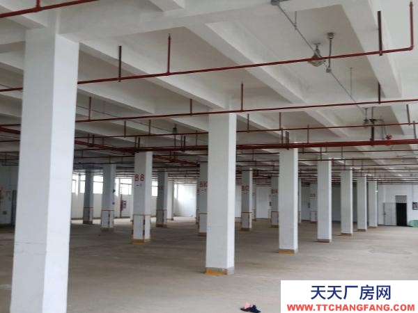 南京市棲霞區堯化門個人房源,1900平方米倉庫出租,可分租。