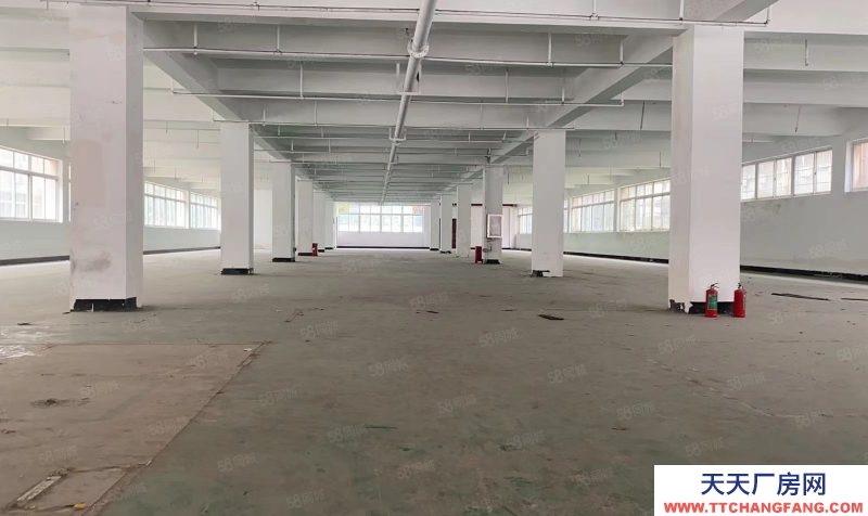 杭州西湖科技園 純一樓1380方廠房 可做快遞行業