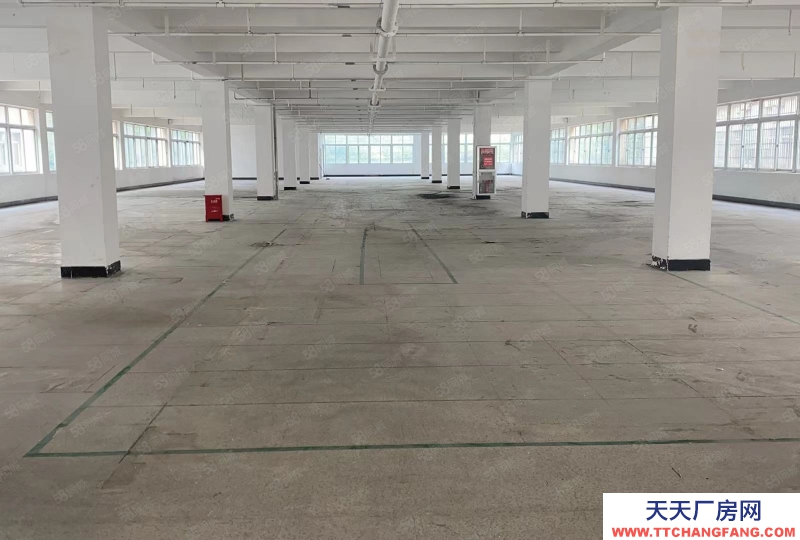 杭州西湖科技園 純一樓1380方廠房 可做快遞行業(yè)