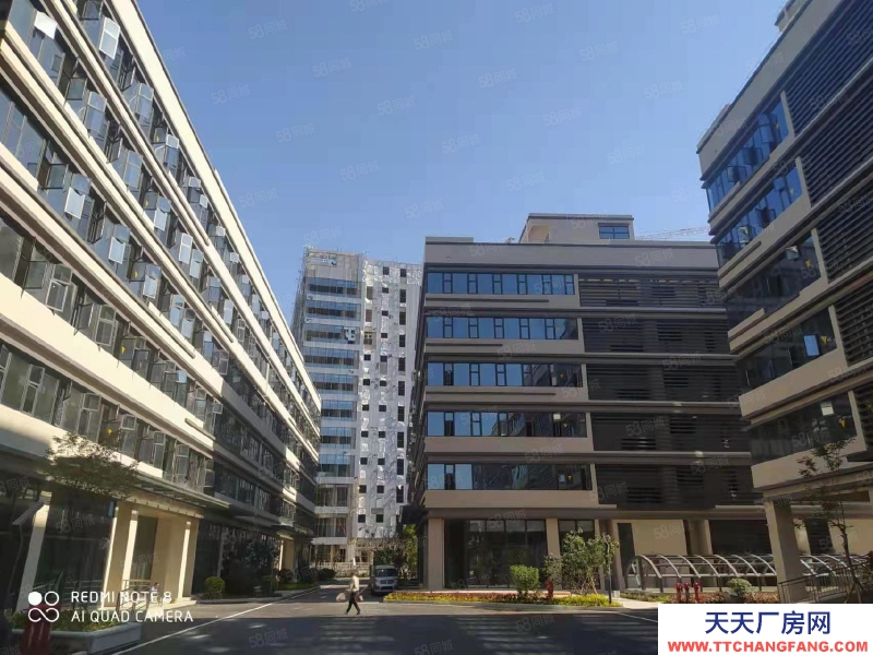 (出租) 黃埔區科學城生物醫藥高新園區 單層660平 6.2米層高 ！