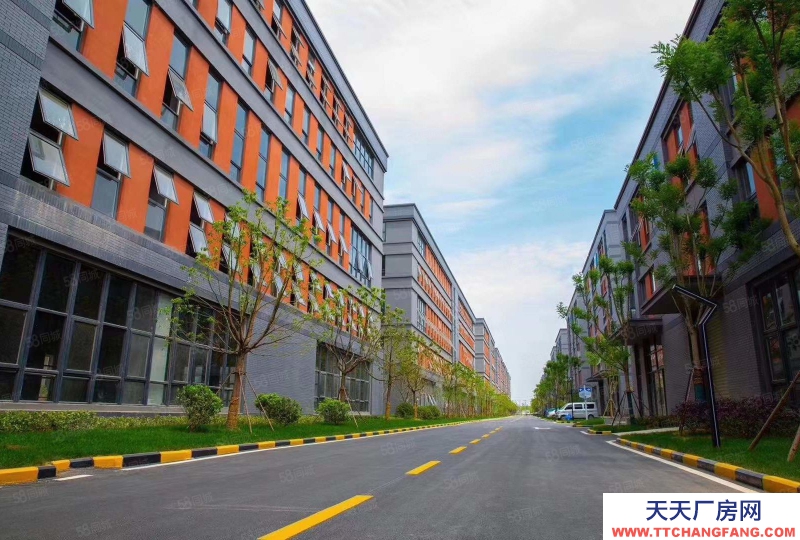 石家莊 欒城 南三環1450平獨棟廠房贈送超大露臺