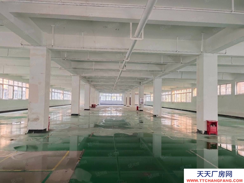 杭州西湖三墩 7250平整棟廠房出租 可分割單層出