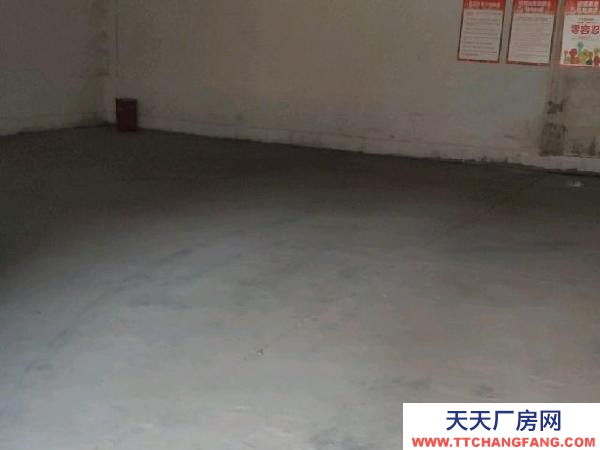 南京市鼓樓區雙層，需自行隔斷，門市倉庫一體，有院子