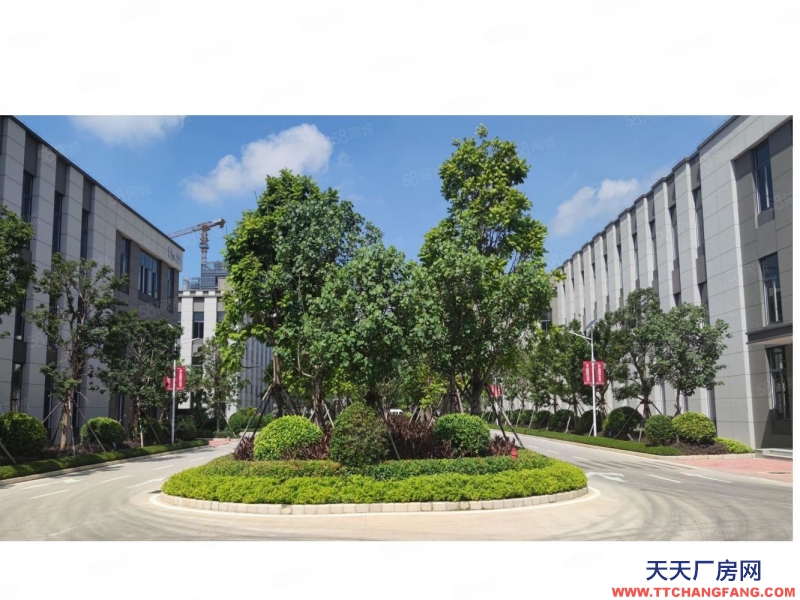 南寧市西鄉塘區(出租) 北湖路全新廠房出租，適合辦公生產加工倉儲，價格美麗，隨時用