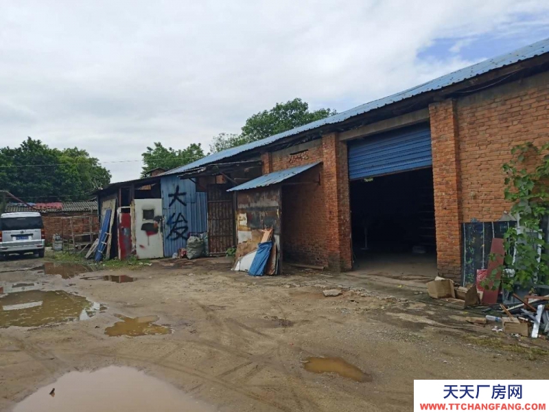 (出租) 南昌紅谷灘新區倉庫廠房便宜出租