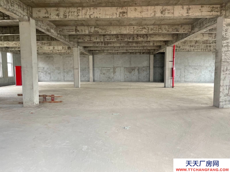 (出售) 南昌紅谷灘新區(qū)8.1米層高 花園式獨(dú)棟廠房 生活方便 出入便捷 現(xiàn)房