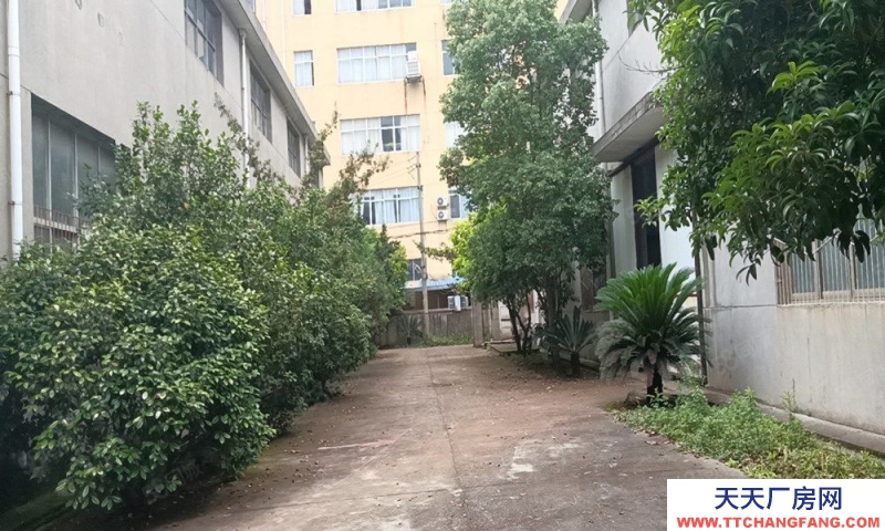 (出租)南昌青山湖區昌東工業園昌豐路標準廠房及空地出租 可合作建廠