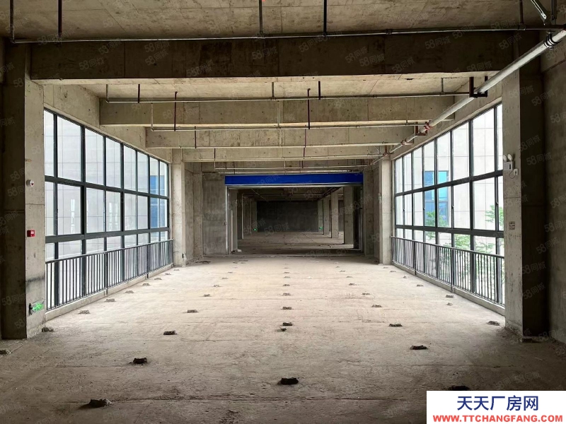 (出租) 南昌青山湖區東泰大道綜合樓1200平方廠房招租