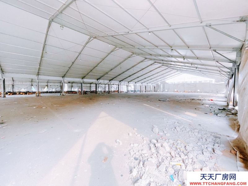 (出租) 南昌青山湖區昌東大道旁大型獨院標準鋼結構廠房出租