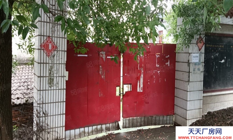 (出租)南昌東湖區揚子洲南江路村委會公交站獨院廠房倉庫出租